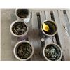 Image 6 : 12- Containers of shovel bolts & nuts