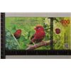 Image 1 : 2024 ATLANTIC FOREST CU 500 AVES DOLLARS