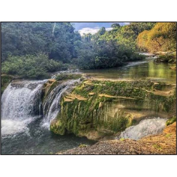 Belize Jungle Adventure