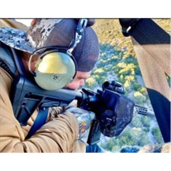 Helicopter Pig Hunting