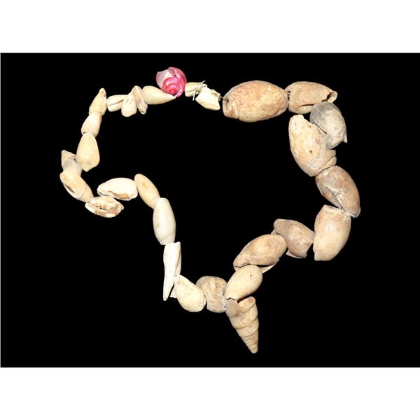 Strand of Shell Beads from Kansas