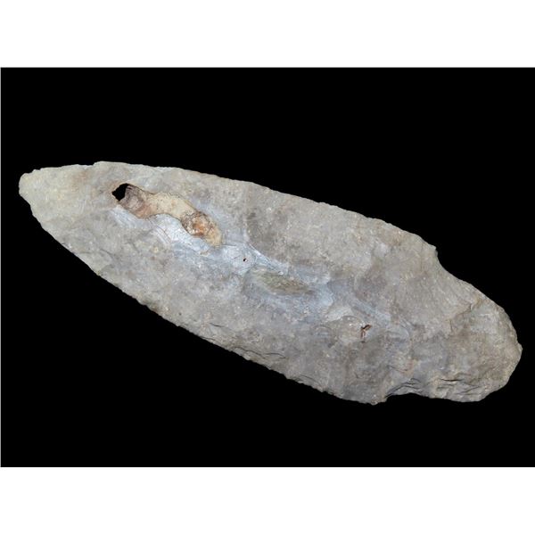 3.7/8" Adena With a Hole all the way through the point from a fossil inclusion, Buck Creek MI