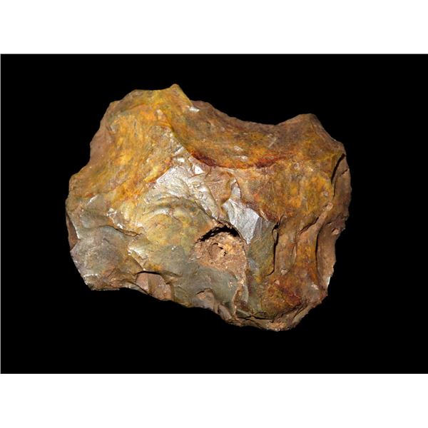 2 1/2" Rare River Stained Fossilized Coral Axe Found in Florida