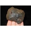 Image 2 : 2 1/2" Rare River Stained Fossilized Coral Axe Found in Florida