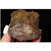 Image 3 : 2 1/2" Rare River Stained Fossilized Coral Axe Found in Florida