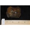 Image 5 : 2 1/2" Rare River Stained Fossilized Coral Axe Found in Florida
