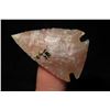 Image 3 : Highly Translucent 1 1/4" Pelican Lake Found in Western USA Made of Gem Grade Agate