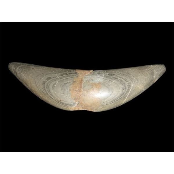 4 5/8" Pick Bannerstone Broken at the Hole and Restored, Found in Central Indiana