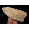Image 2 : 2 9/16" Fluted Clovis, Made of Quartzite, Ground Edges, found in SE Missouri