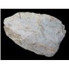 Image 1 : 3" Dalton Blade Found in Adams Co. Illinois