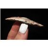 Image 3 : 2 1/8" Corner Notch Found in Franklin Co. Missouri