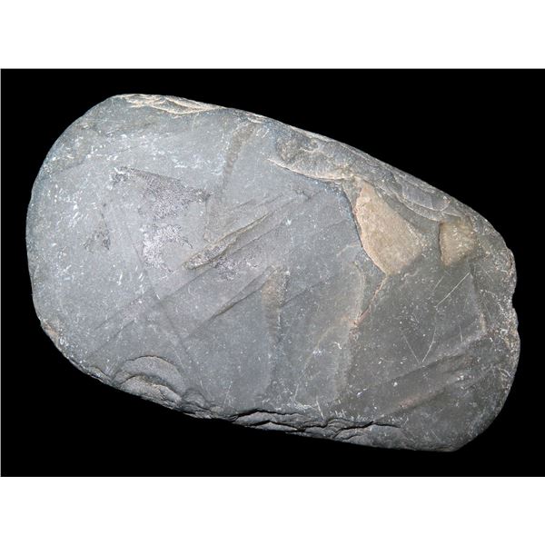 2 3/4" Slate Celt Found in Barron Co. Kentucky, Ex Noel