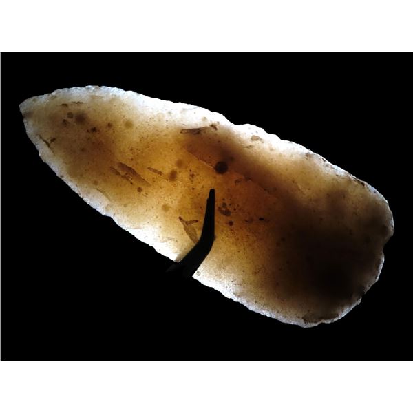 5 1/4" Translucent Hixton Cobbs Knife, Motley COA, Found in Wisconsin