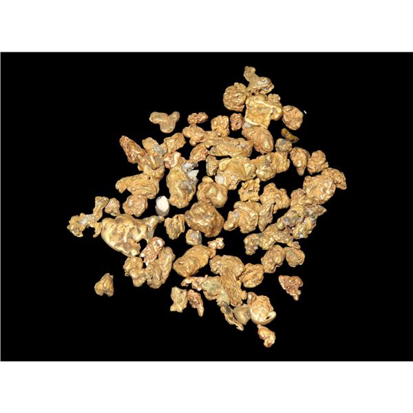 12 Grams of Authentic Gold Nuggets, Found by Bill Goodwin in New Mexico in 1962