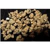 Image 4 : 12 Grams of Authentic Gold Nuggets, Found by Bill Goodwin in New Mexico in 1962