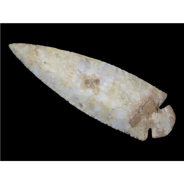 Phenomenal 5 1/4& quot; Dovetail, Dickey/Motley COA, This piece was found by Alec Riebel in Scottlan