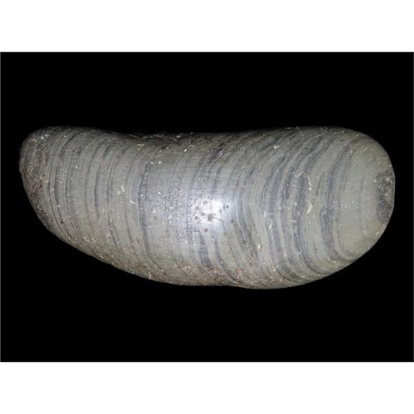 4 3/8" Bannerstone, Motley COA, Found in Polk Co. Tennessee