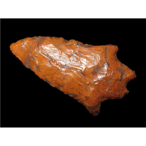 3 3/8" Arredondo, Dickey COA, found in Central Florida, made of Costal Plains Chert
