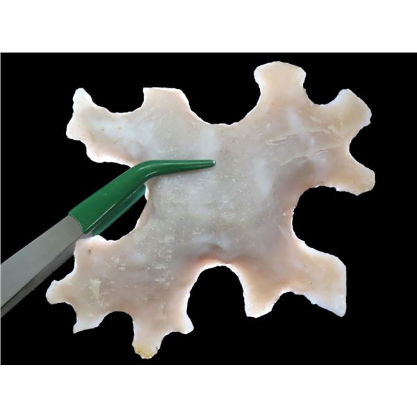 4" Pre Columbian Eccentric, Motley COA, Found in South America