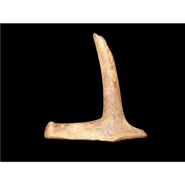 3 3/4" x 4" Antler Native American Handle