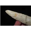 Image 5 : 3 3/4" Early Paleo Stemmed Lanceolate, Central Ohio