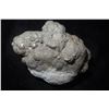 Image 4 : 3" Fools Gold Specimen