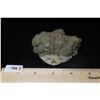 Image 5 : 3" Fools Gold Specimen