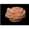 Image 1 : Desert Rose Barite Mineral Specimen