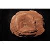 Image 3 : Desert Rose Barite Mineral Specimen