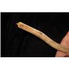 Image 4 : 13" Rabbit Harpoon Found in New Mexico, Authentic Perishable