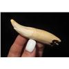 Image 3 : 2 3/8" Bear Tooth