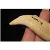 Image 4 : 2 3/8" Bear Tooth