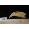 Image 6 : 2 3/8" Bear Tooth