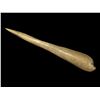 Image 1 : 3 1/2" Bone Awl