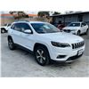 Image 2 : JEEP CHEROKEE 2020 T-SMOG -2 DAYS