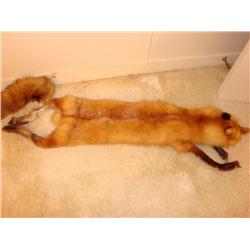 Fox Wrap w/Bakelite Clip