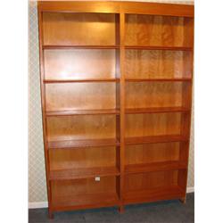 Wonderful Double Bookcase