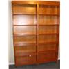 Image 1 : Wonderful Double Bookcase