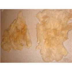 2 Llama Hides