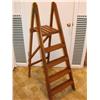 Image 1 : Primitive Folding Step Ladder