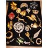Image 1 : 22 Brooches