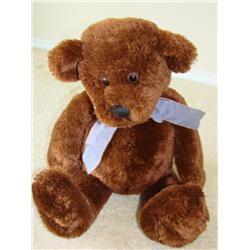 Oh So Soft Teddy Bear in Need of a Good Home!