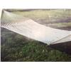 Image 1 : NEW in box-Hatteras Hammock (13 ft)