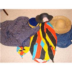 Costumes: Clown, Jester, Farmer