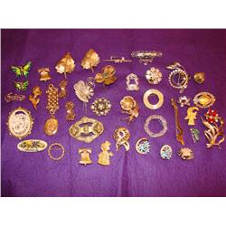 38 Brooches!