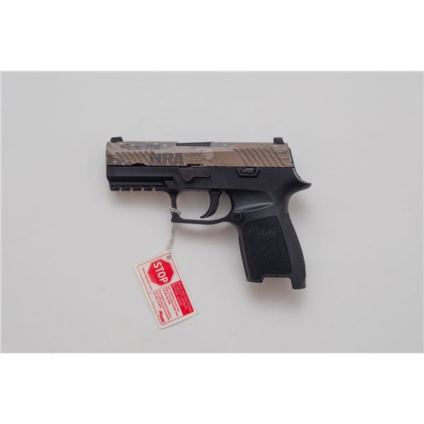 Sig Sauer P320 9mm - NRA Gun of the Year