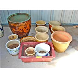 Thirteen Assorted Pot Plants