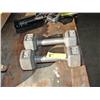 Image 1 : Two Hand Weights 10#