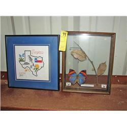 Butterfly/Texas Pictures