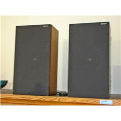 Pair of Technics Speakers